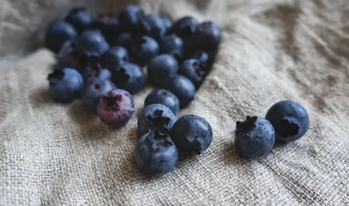 Antioxidanten